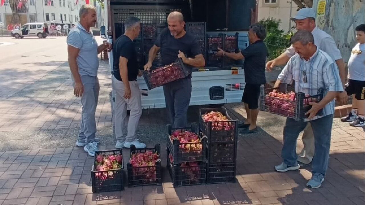 Aracılara kızdı hepsini bedava dağıttı! Tanesi 150 lira, kapış kapış gitti - 1. Resim