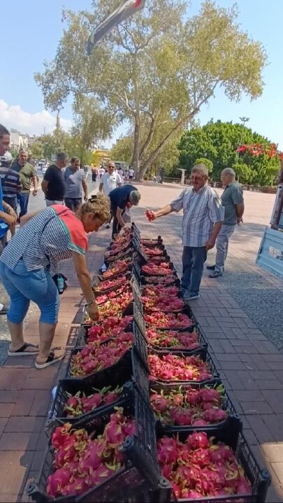 Aracılara kızdı hepsini bedava dağıttı! Tanesi 150 lira, kapış kapış gitti - 5. Resim