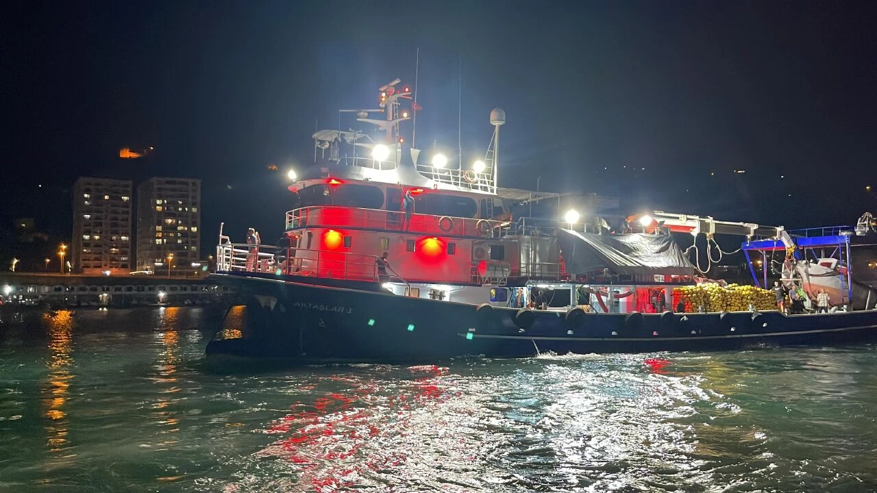 Av sezonu bitti, balık fiyatları düştü! Her eve her keseye uygun balıklar tezgahlarda - 7. Resim
