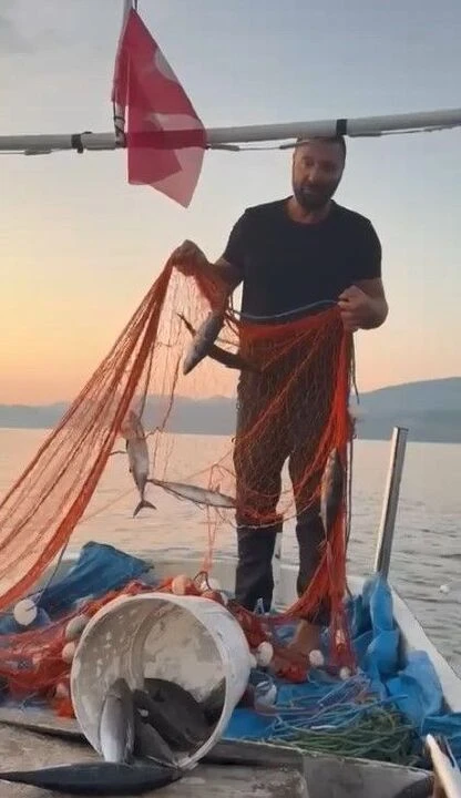 Av sezonu bitti, balık fiyatları düştü! Her eve her keseye uygun balıklar tezgahlarda - 11. Resim