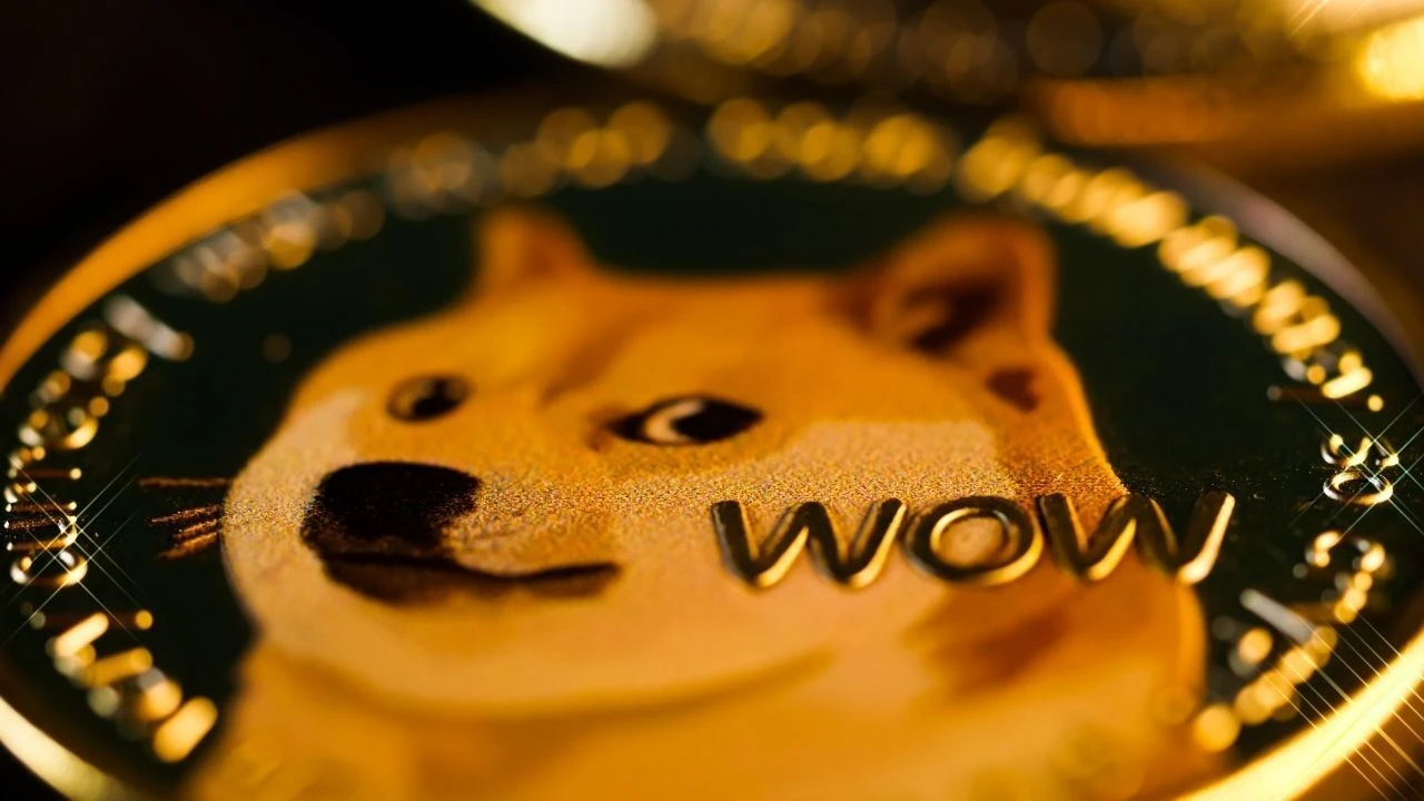 Milyarder Elon Musk ve Tesla aklandı! Dogecoin fiyatını manipüle etmekle suçlanıyordu - 1. Resim