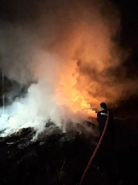 Sakarya’da korkutan yangın: Ağaçlık alanı sardı! - 1. Resim