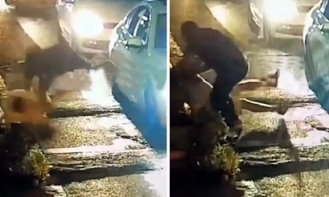 Savcı Necip Cem İşçimen'i darp eden magandanın ifadesi ortaya çıktı