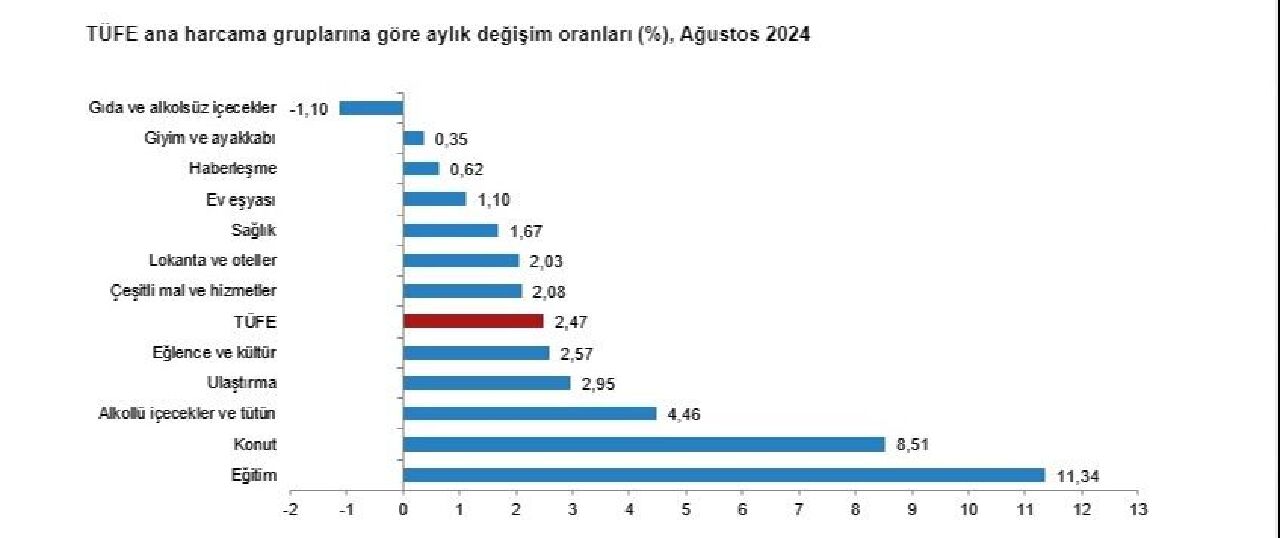 Son dakika | TÜİK enflasyon rakamları açıklandı! İşte ağustos ayı enflasyon rakamı - 3. Resim