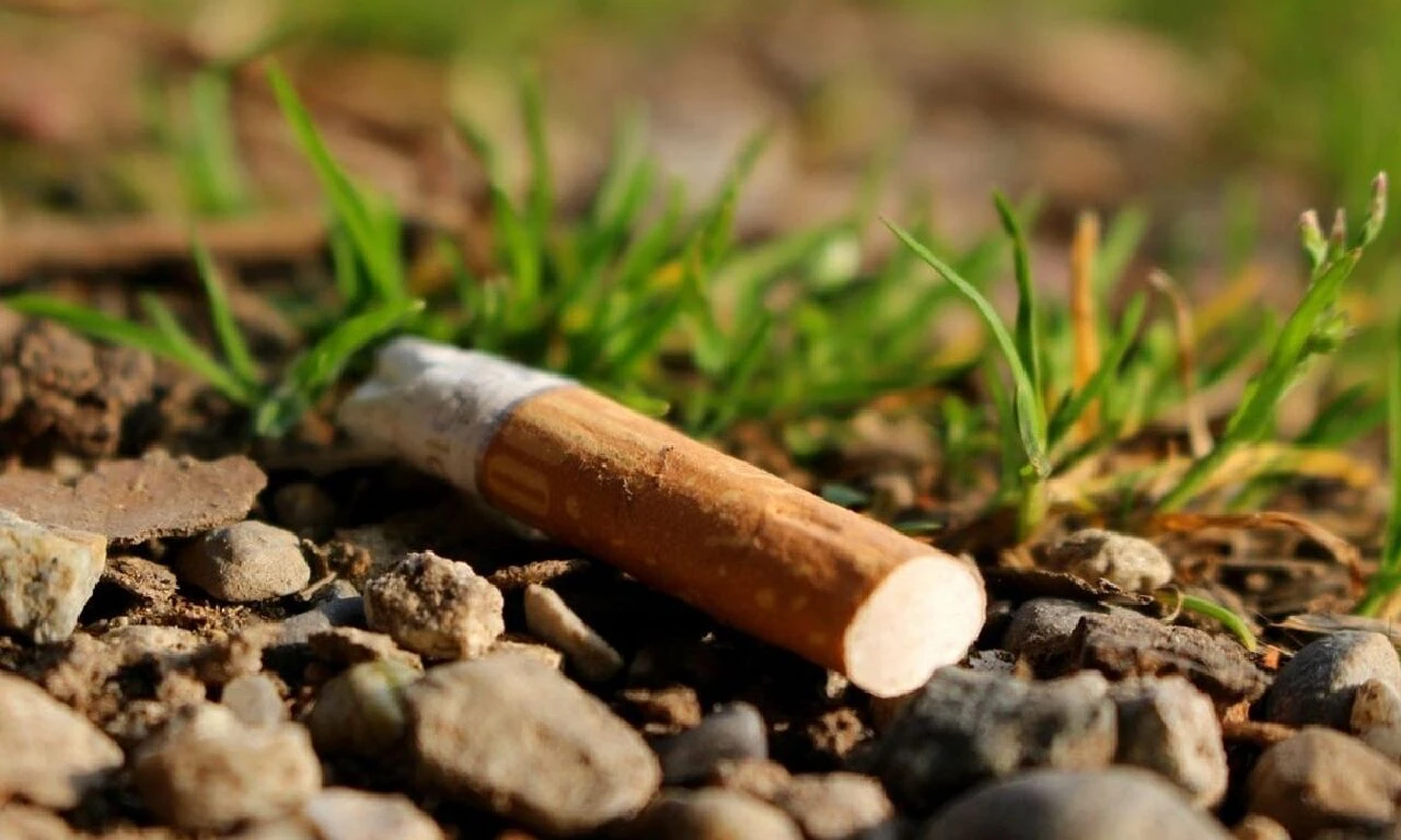 Yarım asırlık sır perdesi aralandı! Cinayeti sigara izmaritindeki DNA aydınlattı - 1. Resim