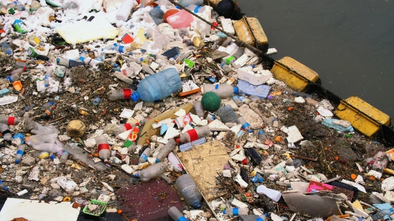 Bolu Belediyesi, çevreyi kirleten kişilere 39 bin 797 TL ceza verdi