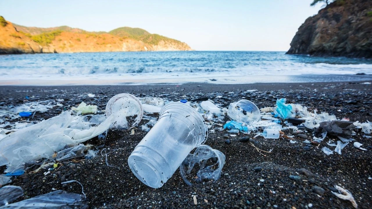 Bolu Belediyesi, çevreyi kirleten kişilere 39 bin 797 TL ceza verdi