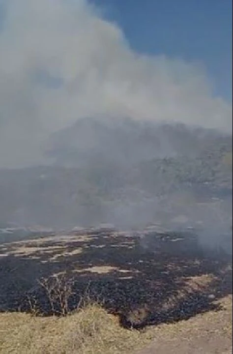 Elazığ’da otluk alanda çıkan yangın henüz kontrol altına alınamadı - 1. Resim