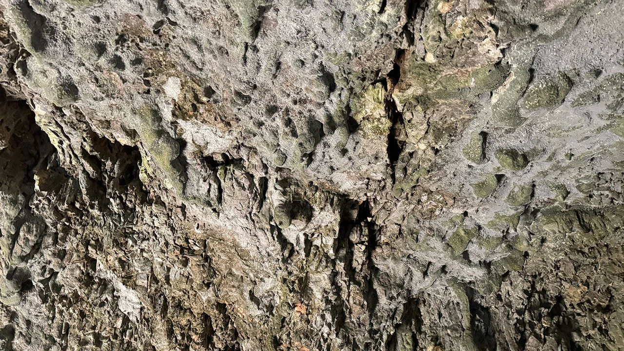 Hayvanlarını otlatan çoban keşfetti, ekipler ihtişamına hayran kaldı: Milyonlarca yılda oluşuyor