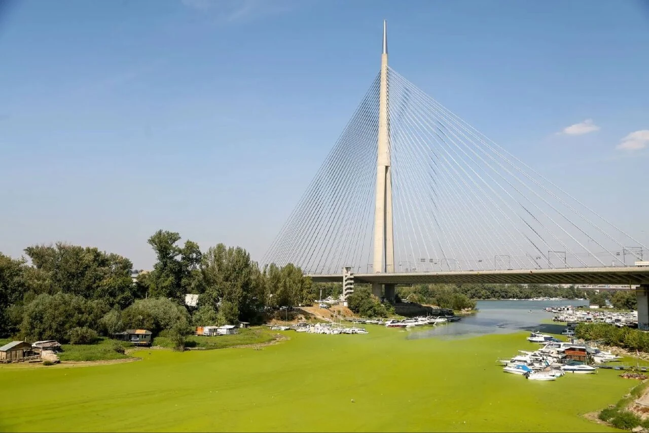 Nehir yeşile boyandı herkes 'neden bir çim sahaya benzediğini' merak etti! Gerçeği uzmanlar açıkladı - 3. Resim