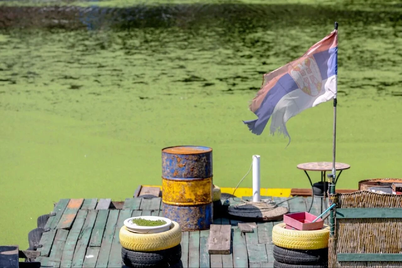 Nehir yeşile boyandı herkes 'neden bir çim sahaya benzediğini' merak etti! Gerçeği uzmanlar açıkladı - 4. Resim