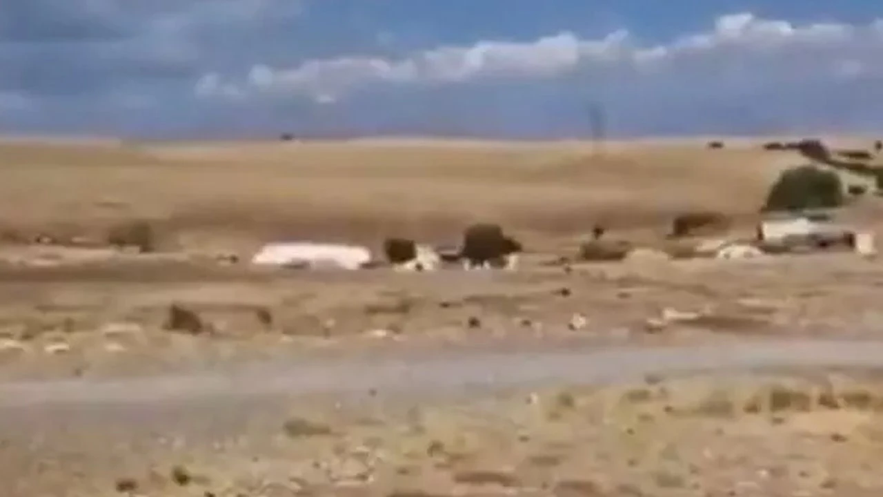 Çobanın maaşını duyunca şoke oldu! İnanamayınca "Aylık mı, yıllık mı?" diye sordu - 1. Resim