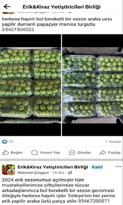 Şoke eden dolandırıcılık! Sahte meyve sebze ilanlarıyla milyonluk vurgun yaptılar!