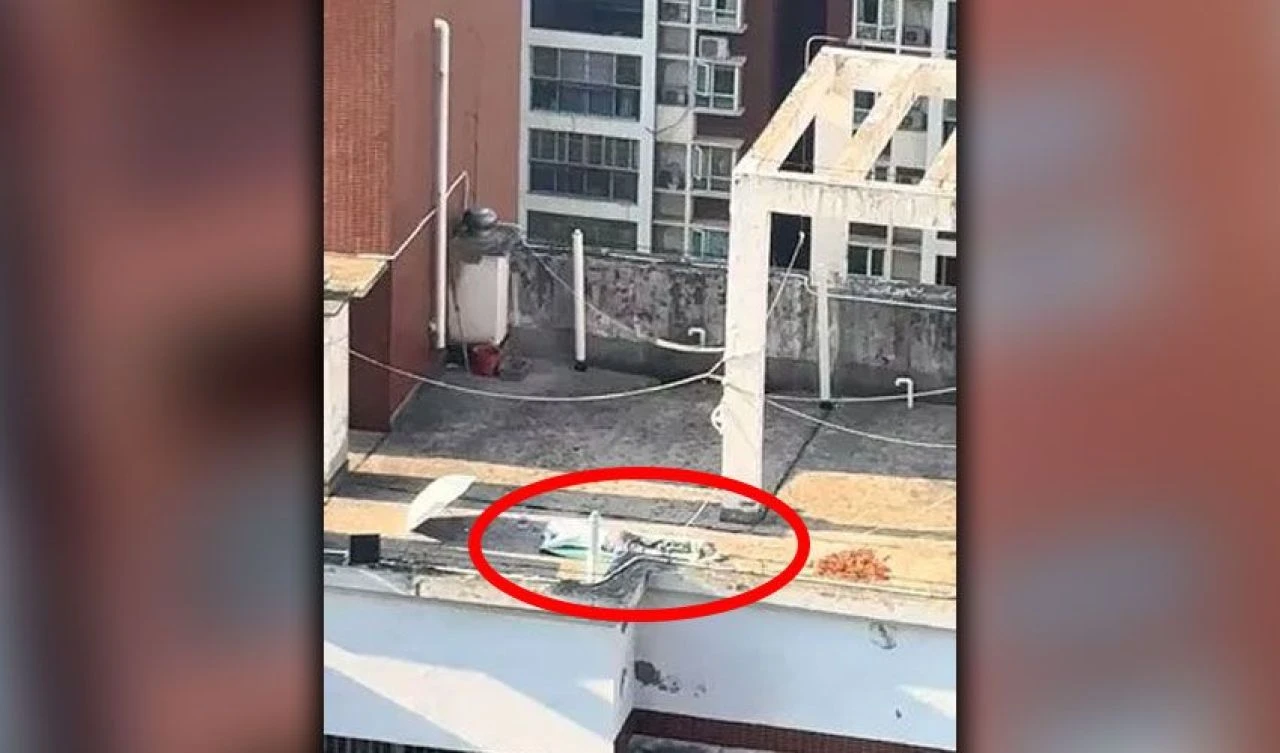 Çatıdaki ceset ihbarı! Gerçek ortaya çıkınca sırra kadem bastı - 2. Resim