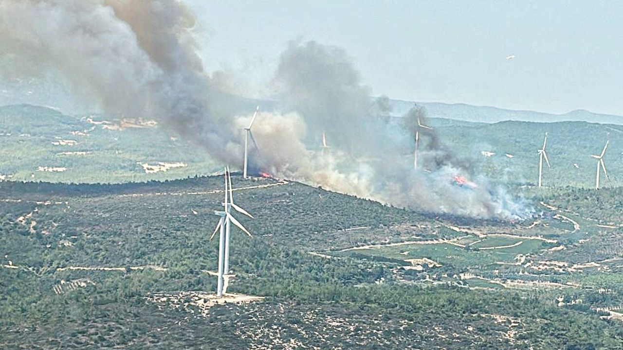 İzmir Urla&#039;da çıkan yangına havadan ve karadan müdahale ediliyor