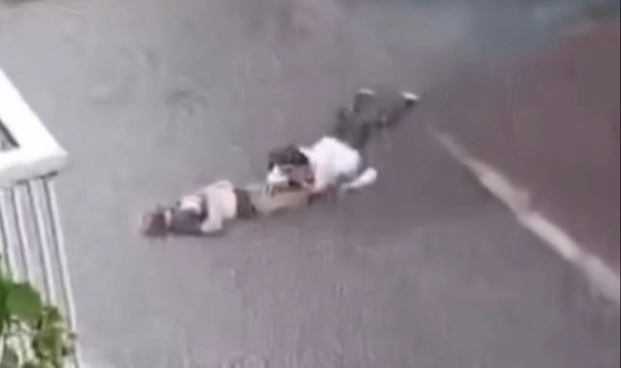 İzmir'de 2 kişinin ölümüne yol açan elektrik kaçağı davasında ara karar