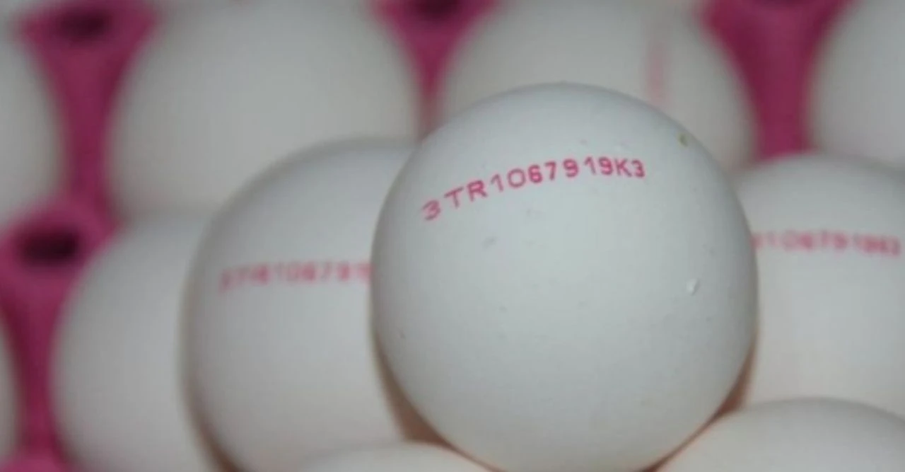 Yumurtalarla ilgili video sonrası tartışma patladı: 2 ve 3 numaralı yumurta zehirli mi? - 2. Resim