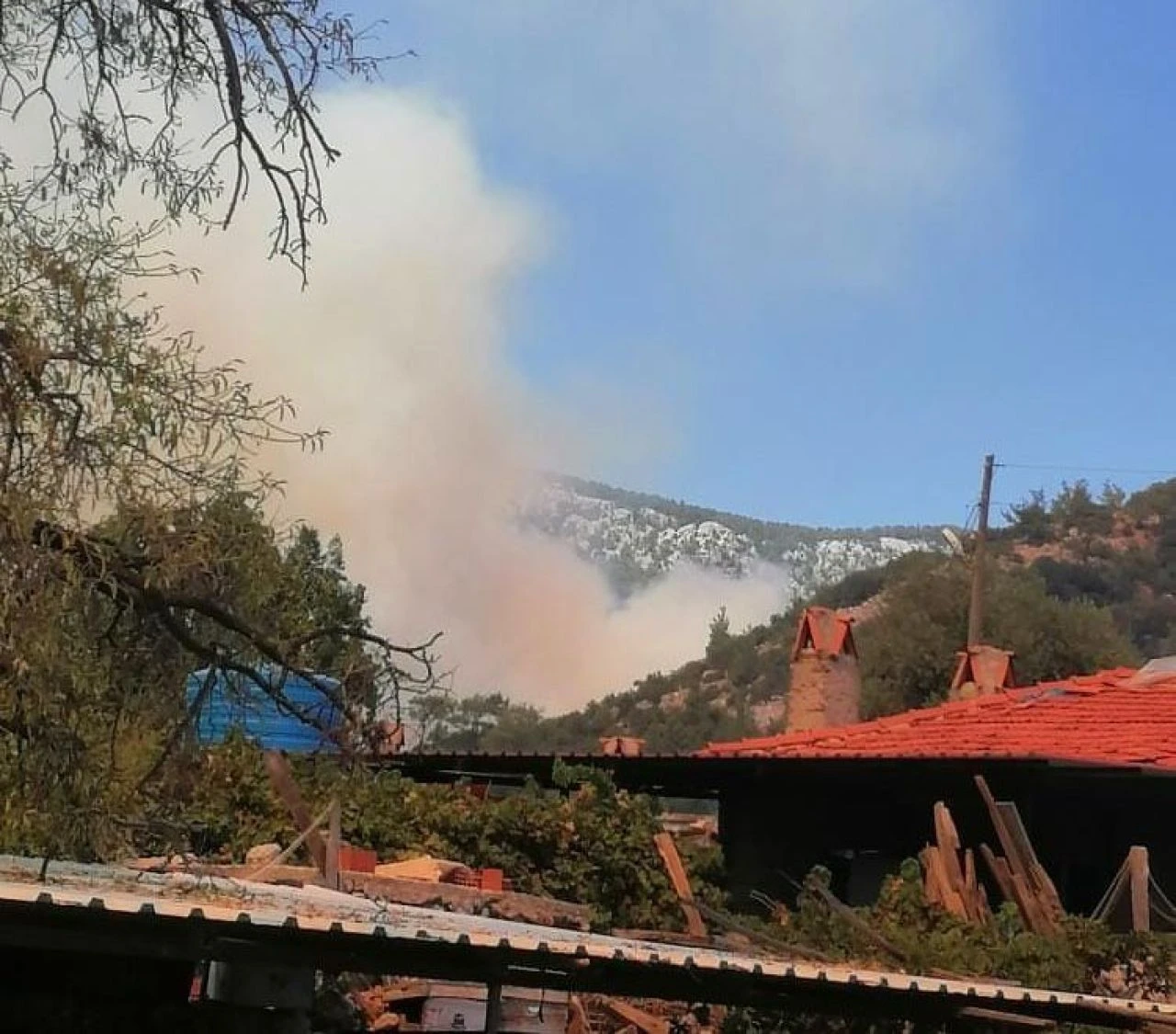 Muğla Menteşe’de çıkan orman yangınının sebebi bilinmiyor - 1. Resim