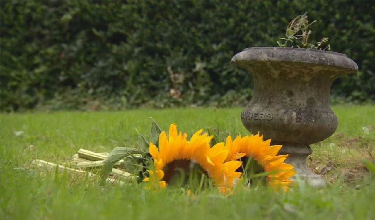 İkiz kardeşlerinin mezarını arıyordu, bebeklerle dolu toplu mezar buldu! 300'den fazla ceset ortaya çıkarıldı - 1. Resim