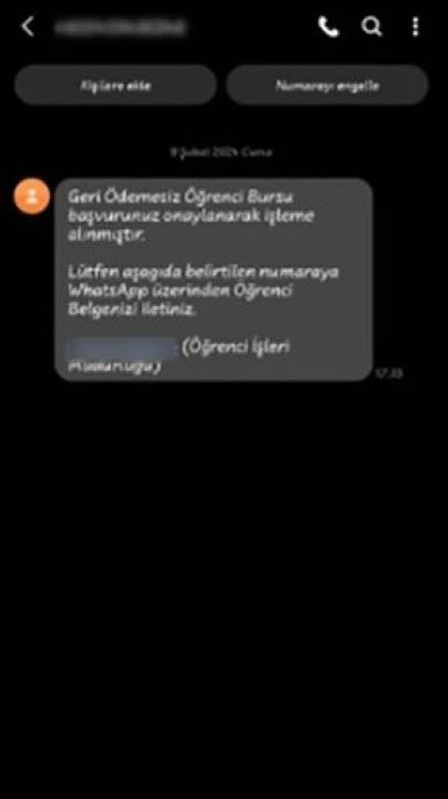Öğrencilere geri ödemesiz burs tuzağı! Uzman isimden öneri: Bu linklere asla tıklamayın