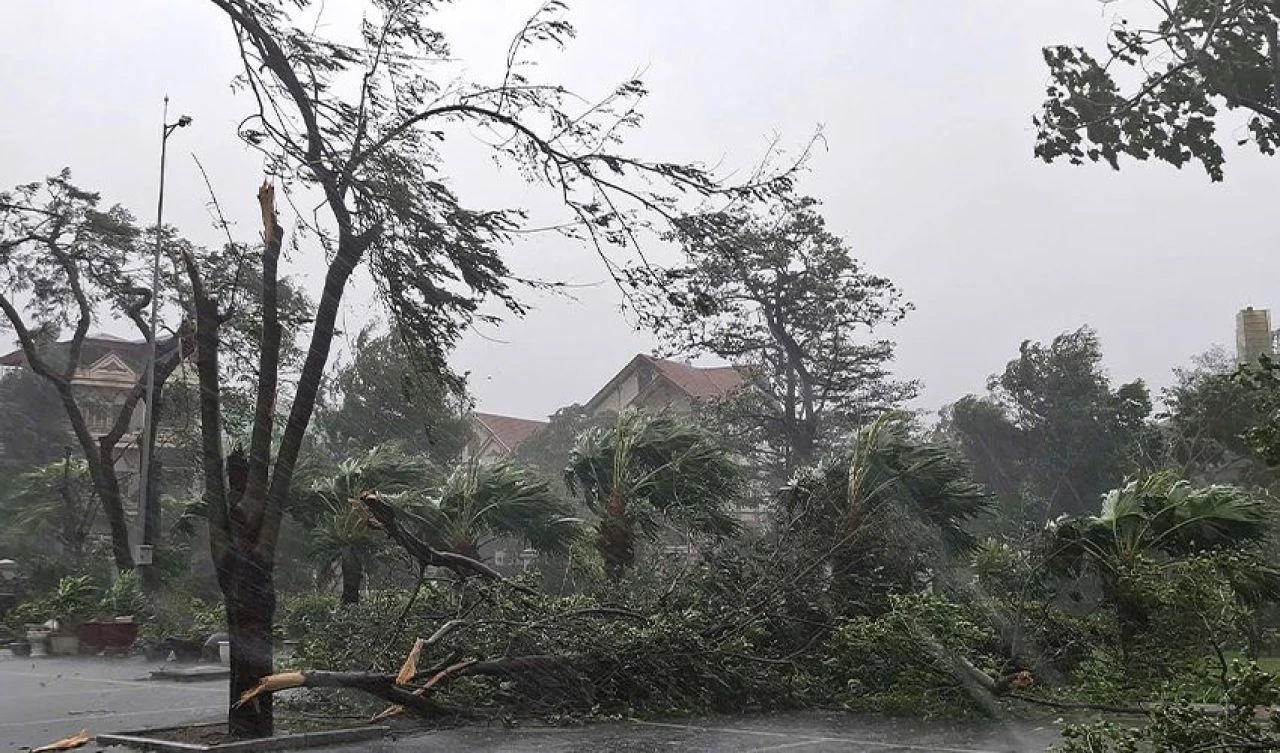 Süper tayfun Yagi yıkarak yoluna devam ediyor! Çin'den sonra yeni durağı Vietnam oldu - 2. Resim
