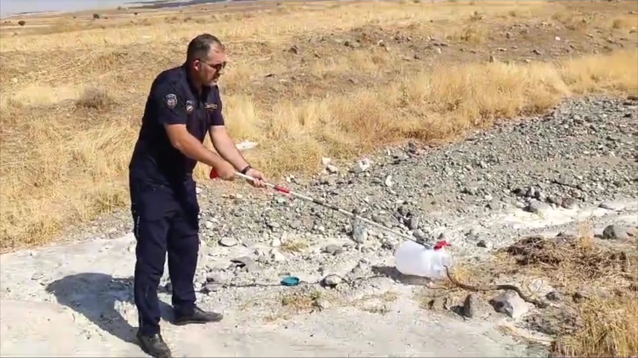 Elazığ’da evde yılan paniği! - 1. Resim