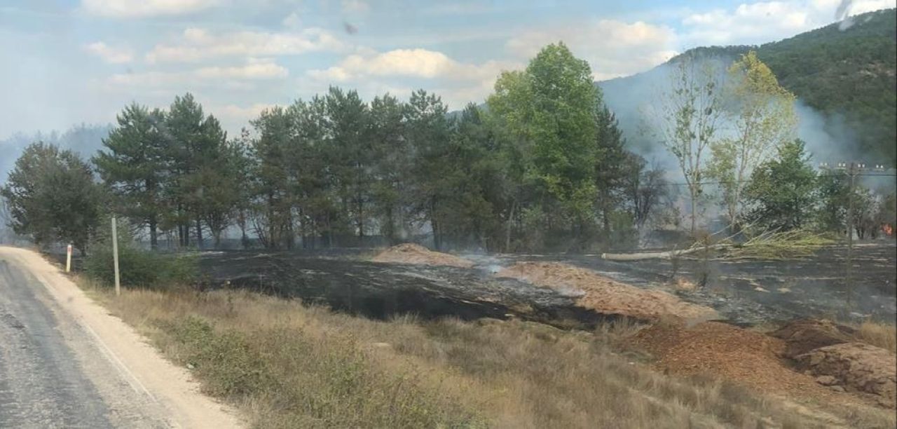 Bolu'da orman yangını! Ekiplerin müdahalesi sürüyor - 2. Resim