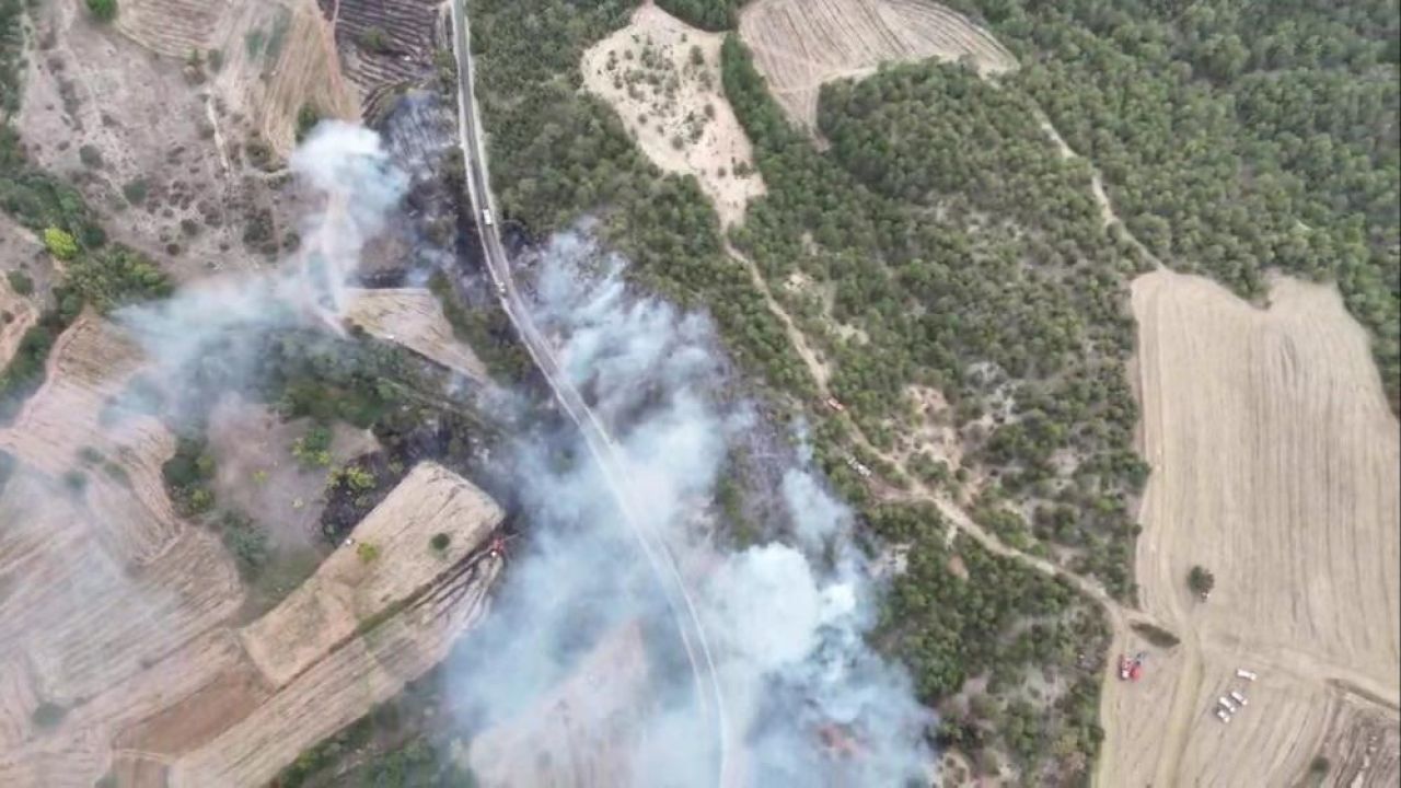 Bolu'da orman yangını! Kontrol altına alındı, soğutma çalışması sürüyor - 3. Resim