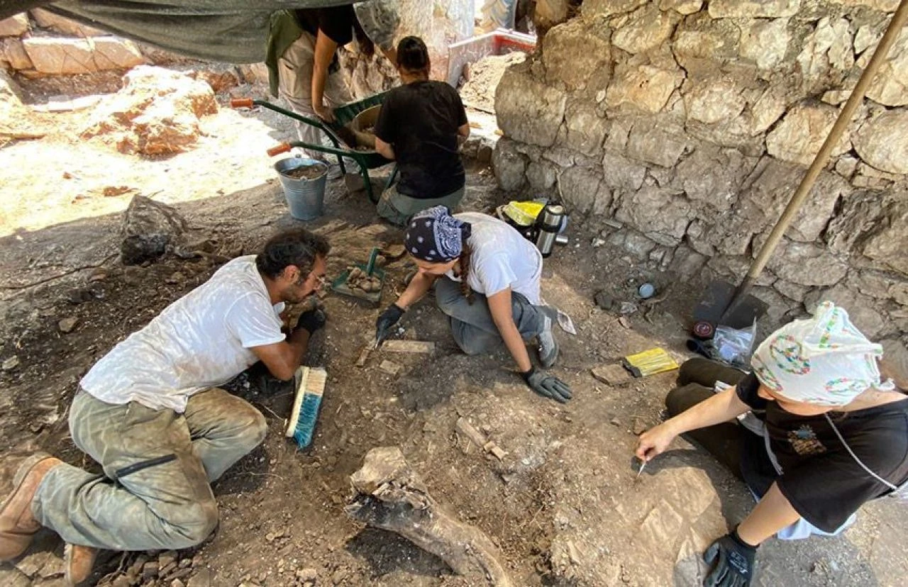 Türkiye'de ilk kez rastlandı! İlgi çeken keşif: Bu yılın sürprizi "Millefiori"