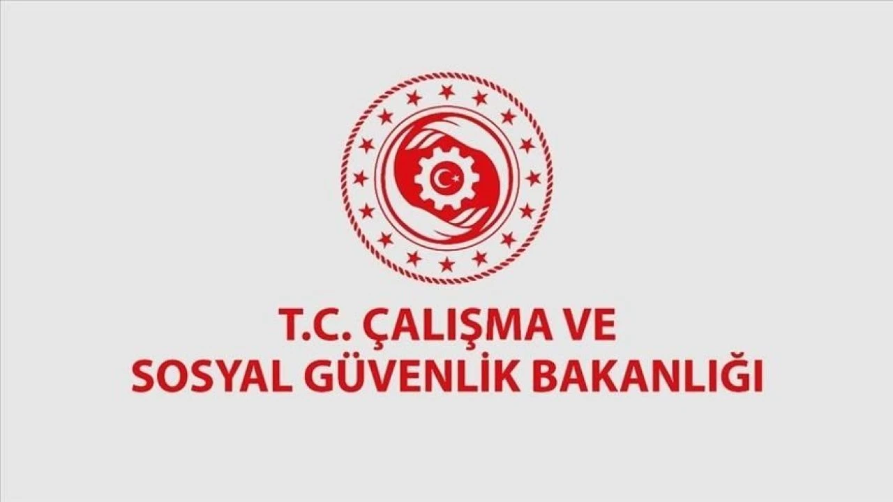 Çalışma Bakanlığına 9 sözleşmeli bilişim personeli alınacak - 1. Resim