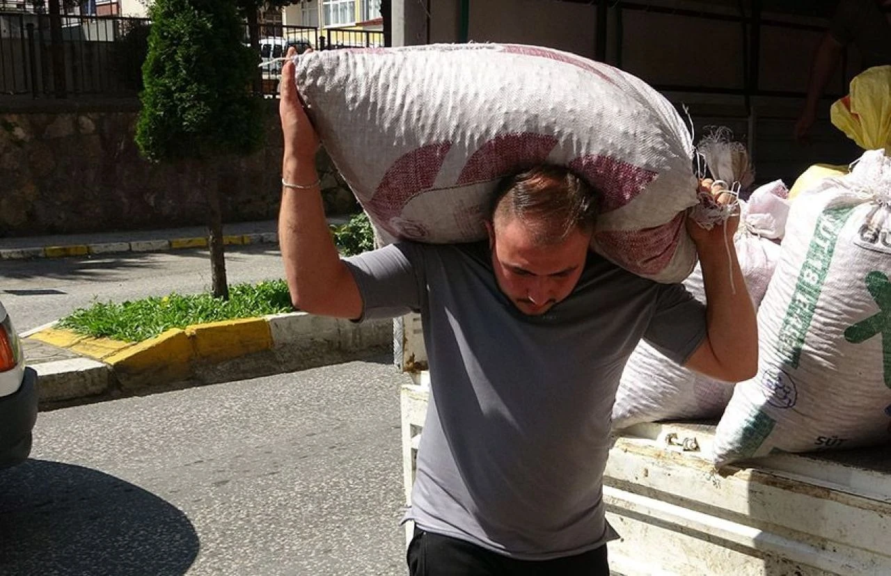 Fındıkta kahverengi kokarca tehlikesi! Fındık tüccarları uyarıldı