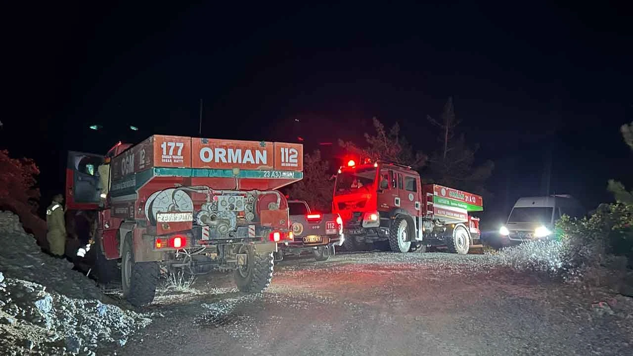 Hatay’da orman yangını! Çok sayıda ekip sevk edildi - 2. Resim