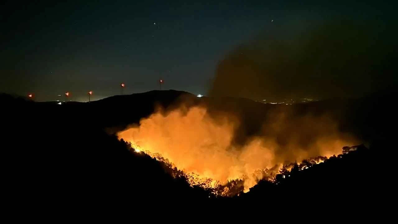 Hatay’da orman yangını! Çok sayıda ekip sevk edildi - 1. Resim