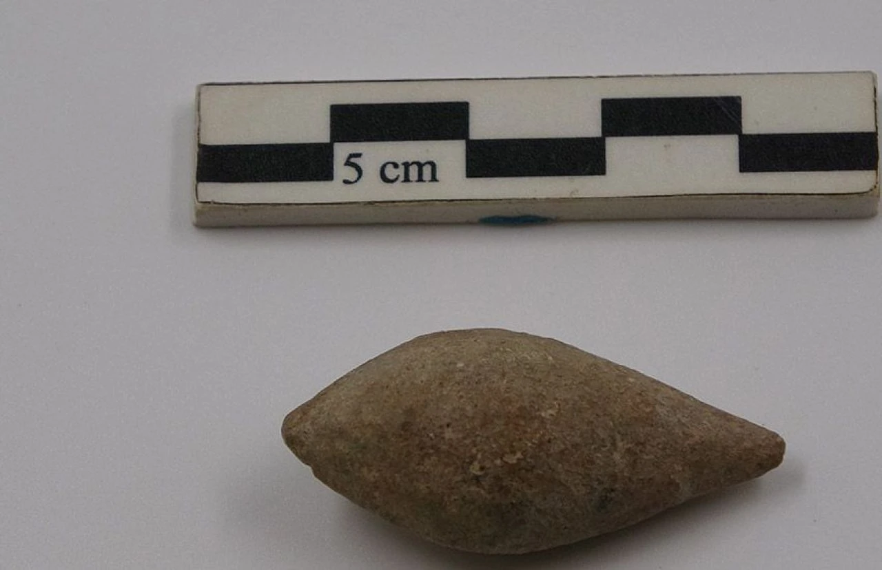 Çanakkale'de yeni keşif! Tam 3 bin 400 yıllık: Daha öldürücü tür - 1. Resim