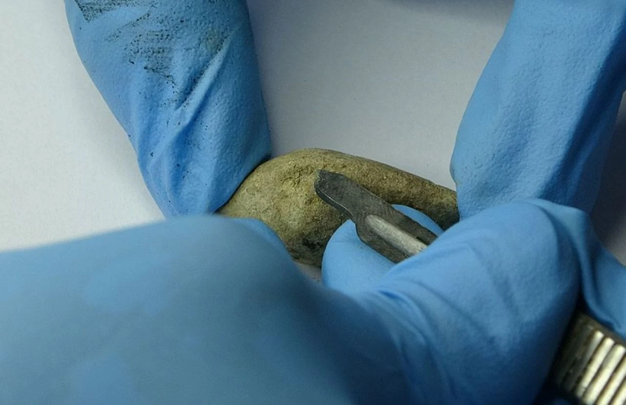 Çanakkale'de yeni keşif! Tam 3 bin 400 yıllık: Daha öldürücü tür - 3. Resim