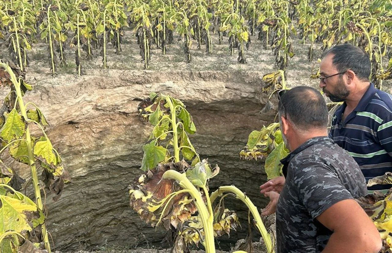 Konya'dan sonra bir ilimizde daha ürküten görüntü! Ayçiçek tarlasında dev obruk oluştu - 1. Resim