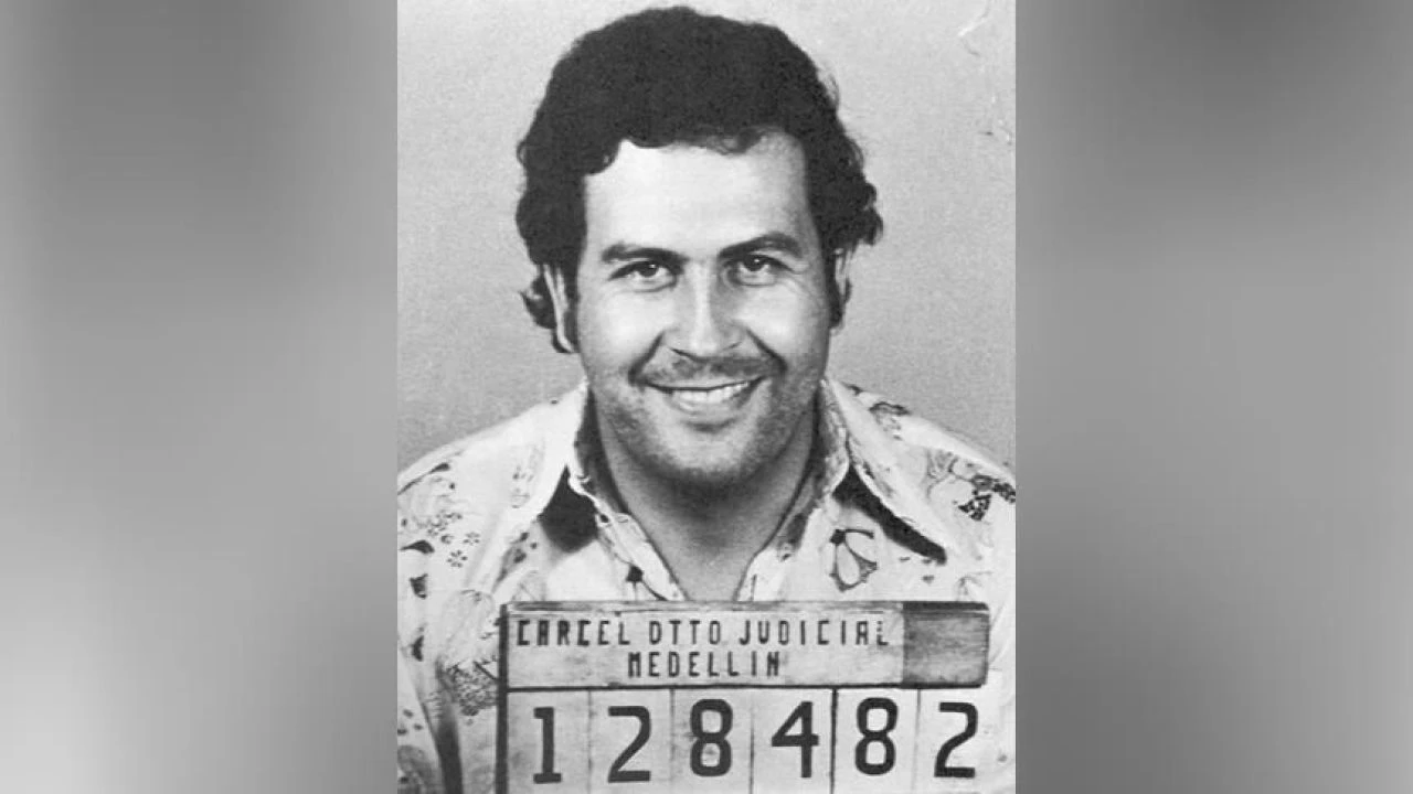 Pablo Escobar'ın su aygırları da artık insan hayatını tehdit ediyor! İdam kararı verildi