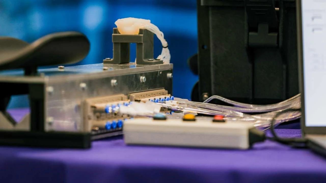 Sevdiklerinize uzaktan dokunmanız artık mümkün! Bilim insanları yeni cihaz geliştirdi