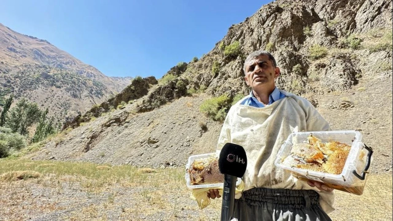 12 yıl önce Cilo Dağı'nda keşfetti, yurt dışından özel müşterilerine satıyor: Fiyatı altınla yarışıyor - 1. Resim