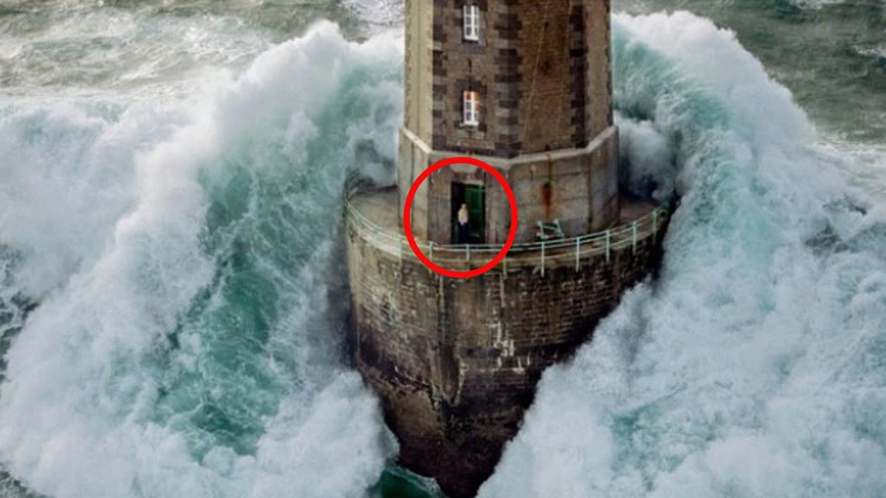 35 milyon TL maaşla çalışacak eleman bulamıyorlar! Şartlar çok basit ama 1 ay bile çalışabilen olmadı - 1. Resim