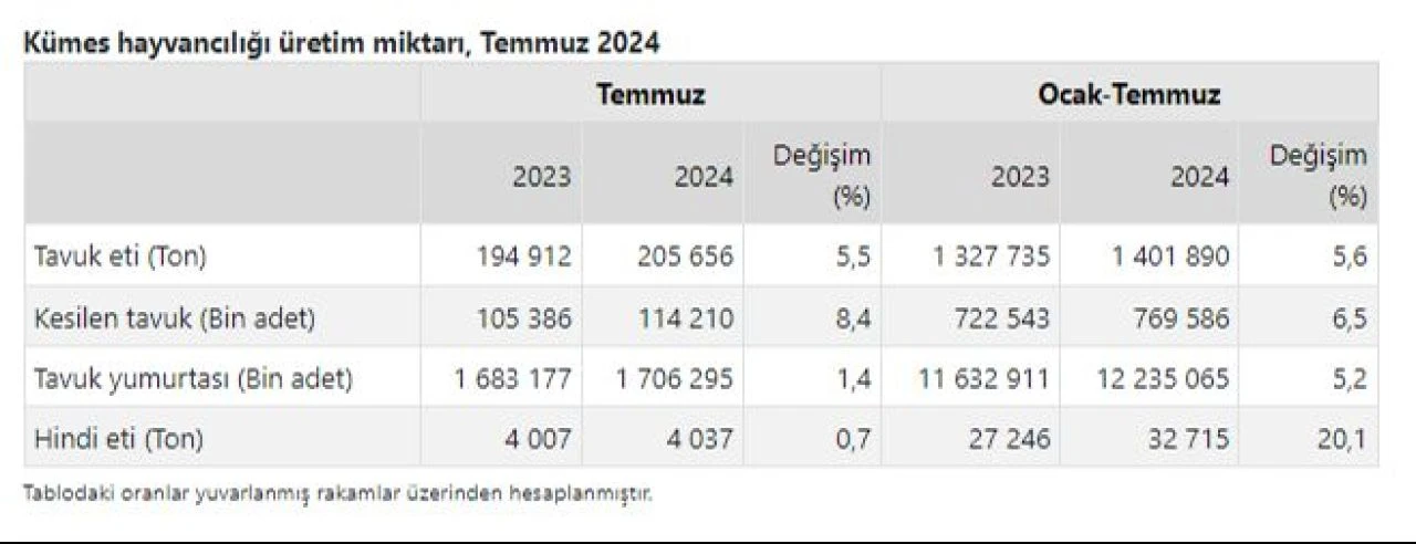 TÜİK açıkladı: Kümes hayvancılığı verileri belli oldu! Tavuk eti ve tavuk yumurtası üretimi temmuzda arttı