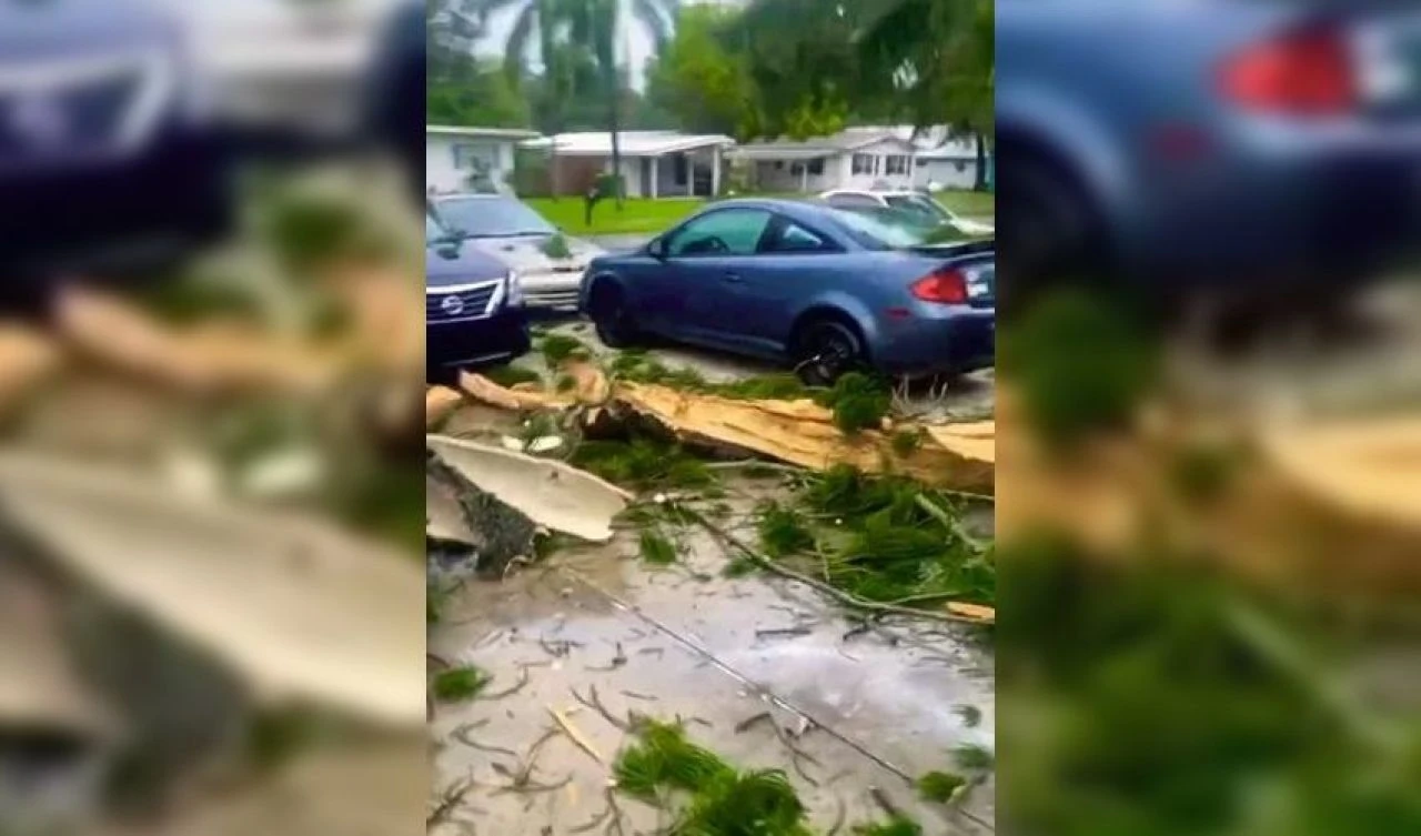 Yıldırım önce ağacı patlattı sonra evine çarptı! Şok edici anları internette paylaştı