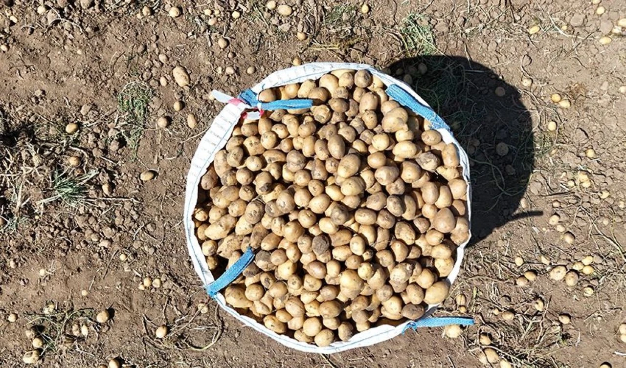 Çiftçiler isyan etti: Günlüğü bin liradan işçi bulamıyoruz