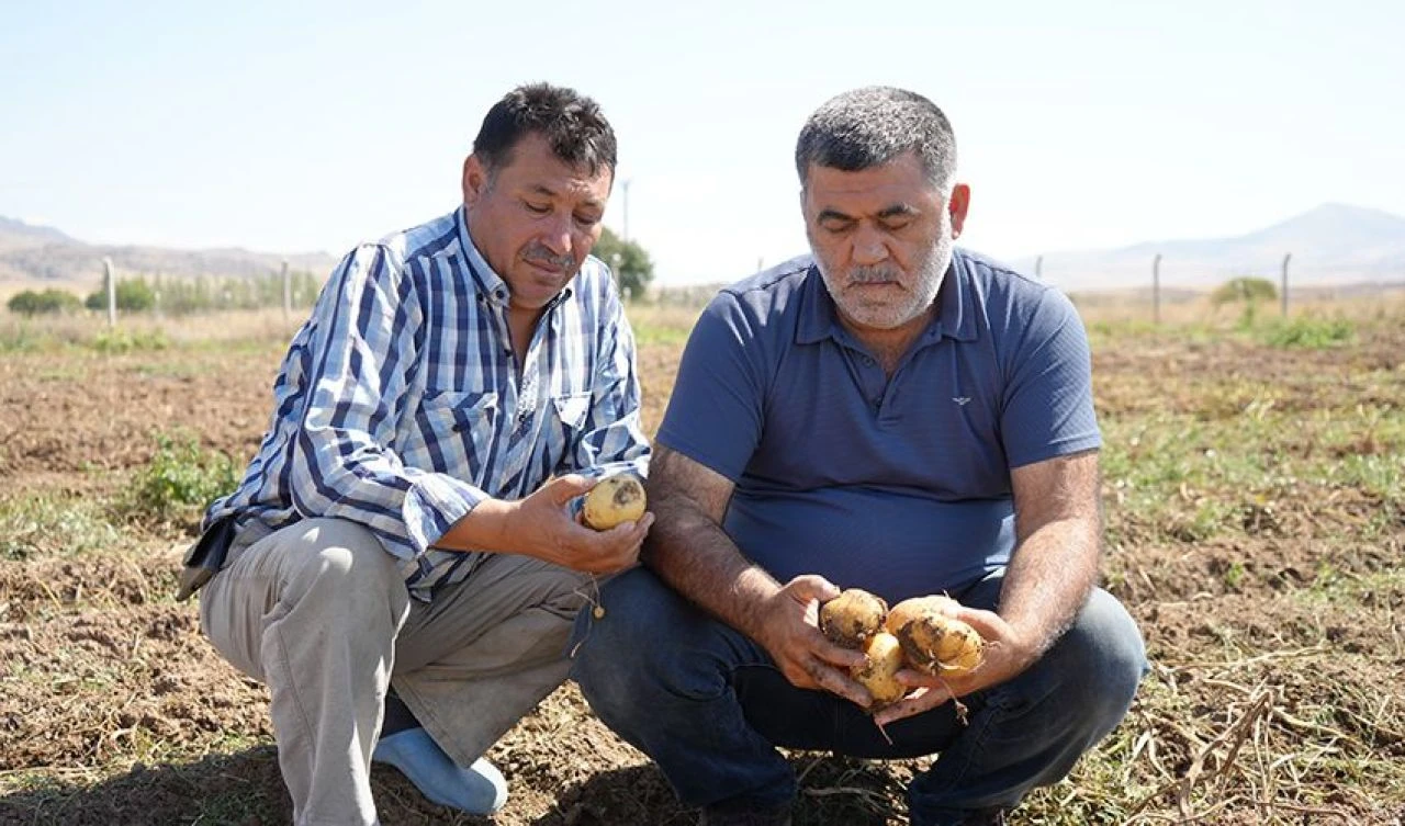 Çiftçiler isyan etti: Günlüğü bin liradan işçi bulamıyoruz