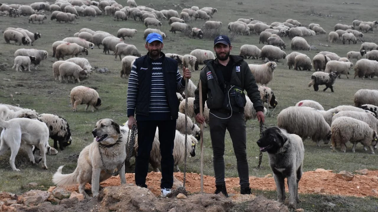 Türkiye'de çoban krizi sürüyor! 150 bin çoban için Bakanlıklar harekete geçti - 3. Resim