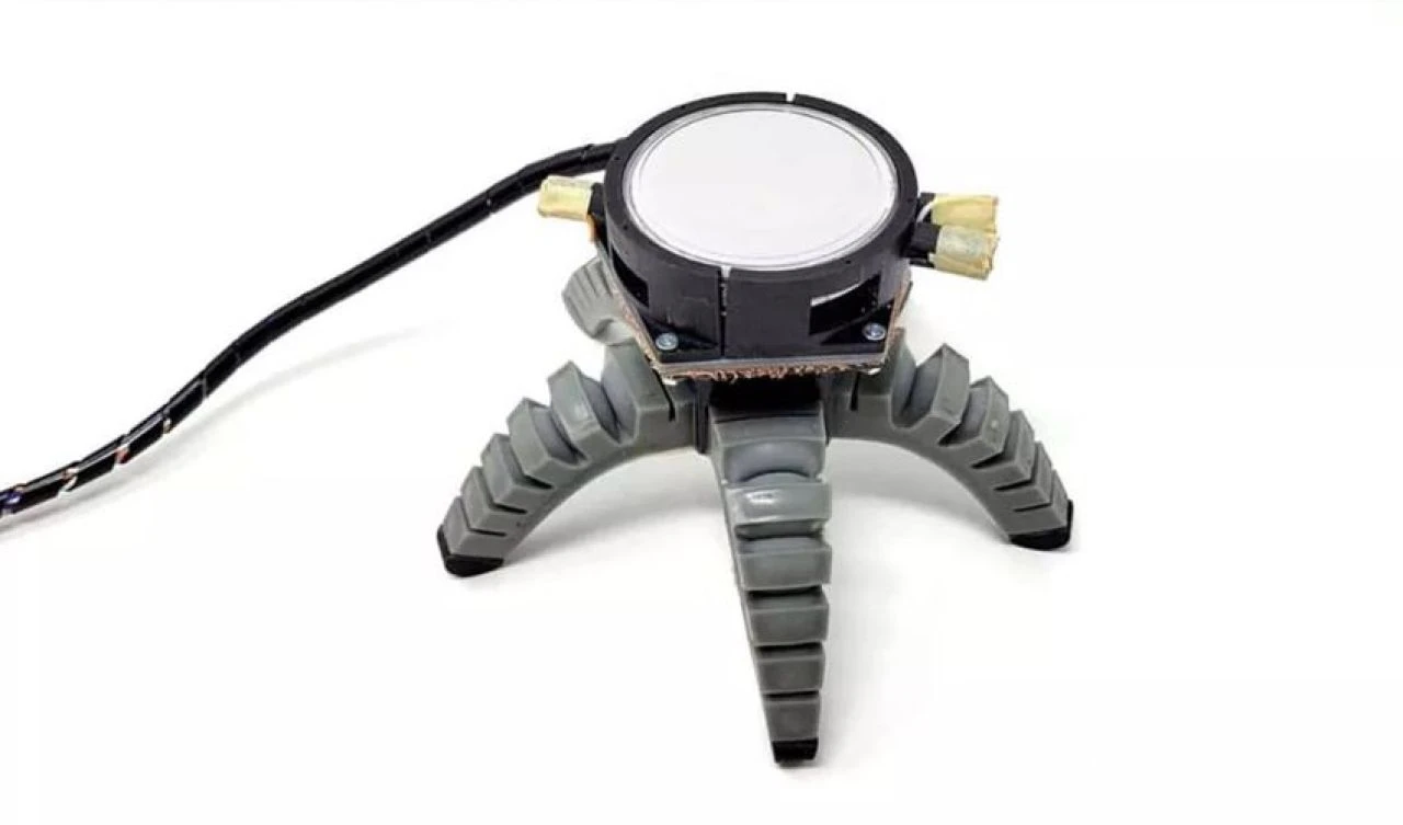 Biyohibrit robot resmen gerçek oldu! Bilim insanları yenilebilir mantara emeklemeyi öğretti - 1. Resim