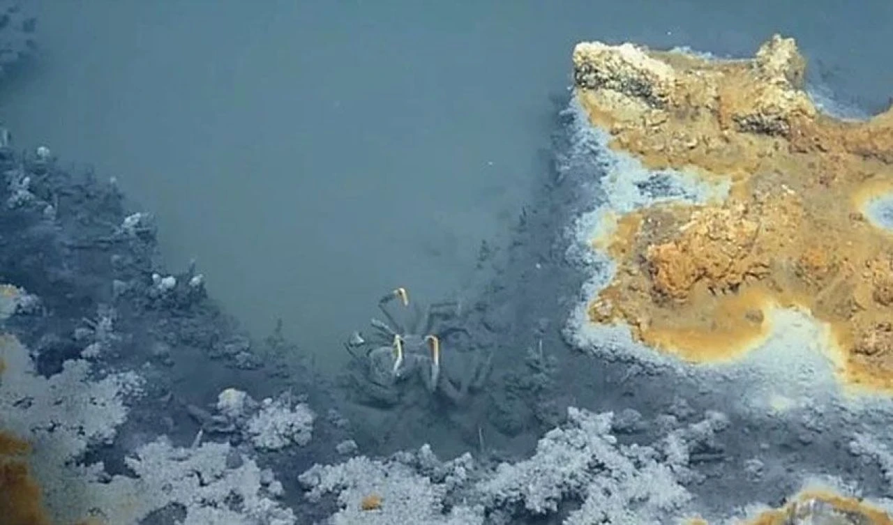 Cesetlerle dolu 'Umutsuzluğun Sıcak Küveti', dünyanın en ölümcül sularından biri