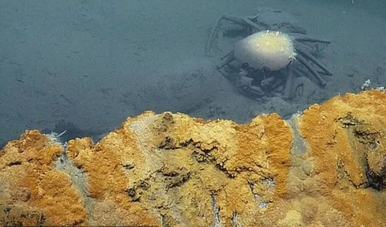 Cesetlerle dolu 'Umutsuzluğun Sıcak Küveti', dünyanın en ölümcül sularından biri