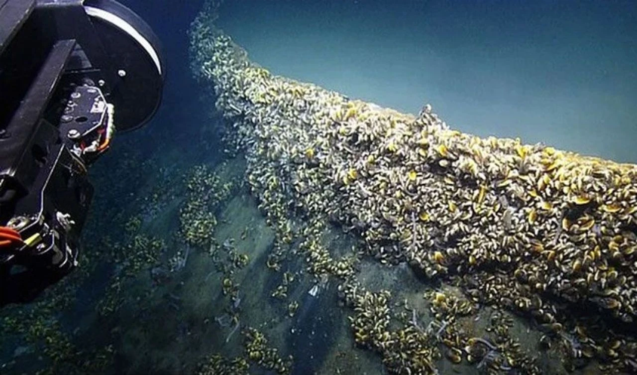 Cesetlerle dolu 'Umutsuzluğun Sıcak Küveti', dünyanın en ölümcül sularından biri