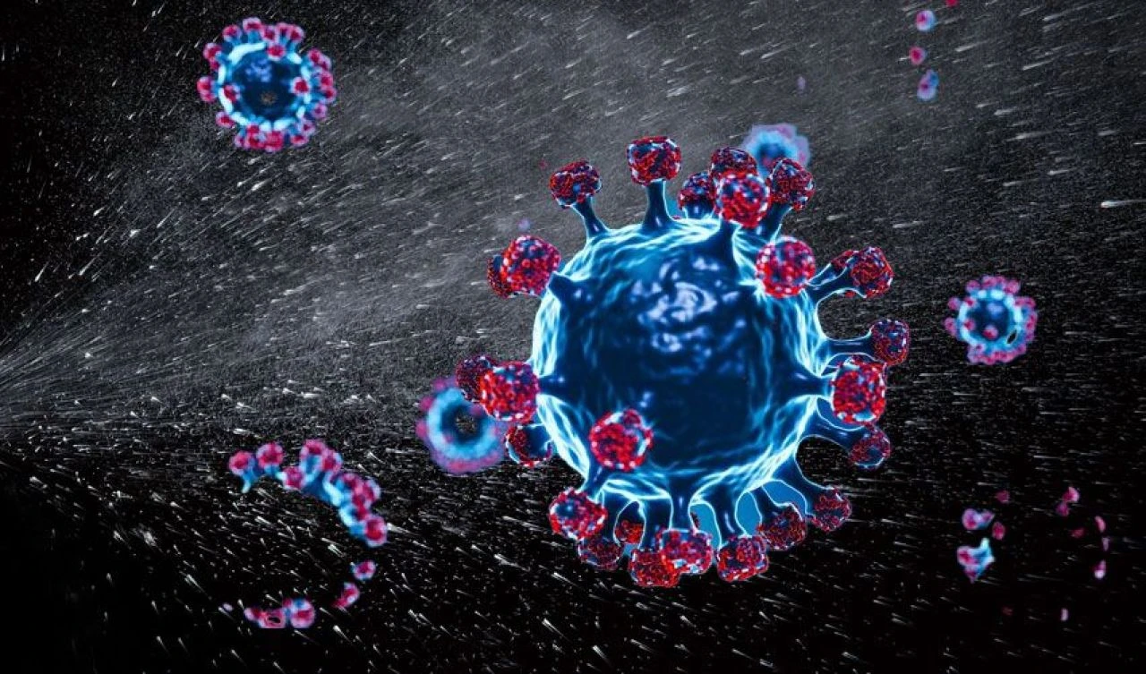 Covid-19 bulaştıran komşuya hapis cezası: Adam öldürme suçuyla yargılandı - 1. Resim
